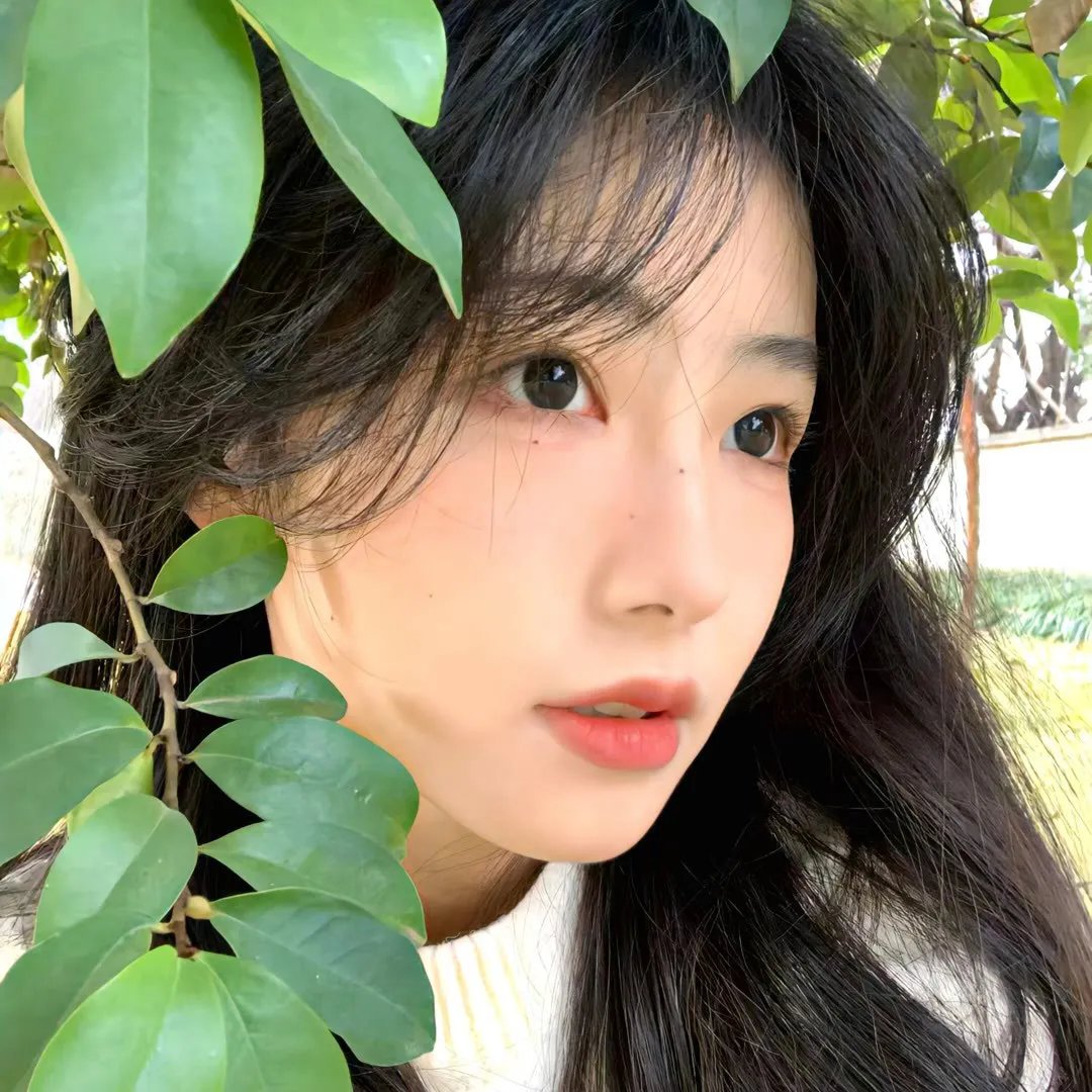 桃花坞开放中第四季